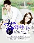 女镖师的白领生活